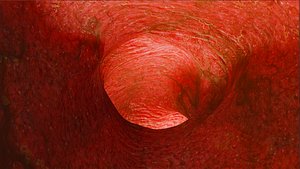 inside an arterial cave PRO PACK