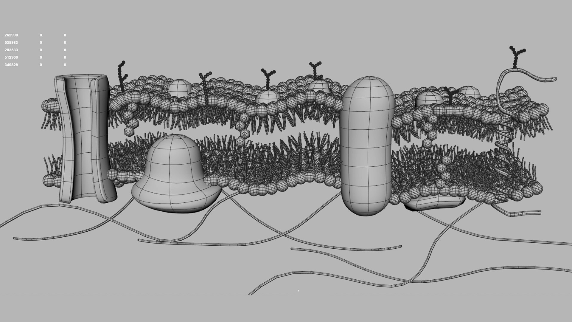 Cytoplasm Animated 3D Model - TurboSquid 1715762