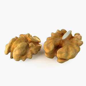 walnut nut 3D