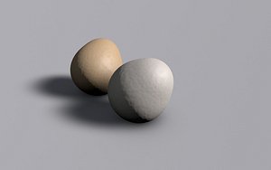 white egg brown 3d model