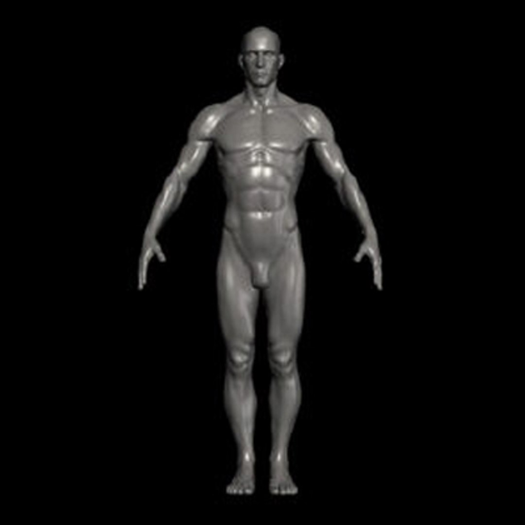 3ds human ztl https://p.turbosquid.com/ts-thumb/YX/QAksxT/1gX1PRYR/1/jpg/1263255256/1920x1080/fit_q87/d7106070fc451ce7fb287bbbe30581a2b8cf43ef/1.jpg