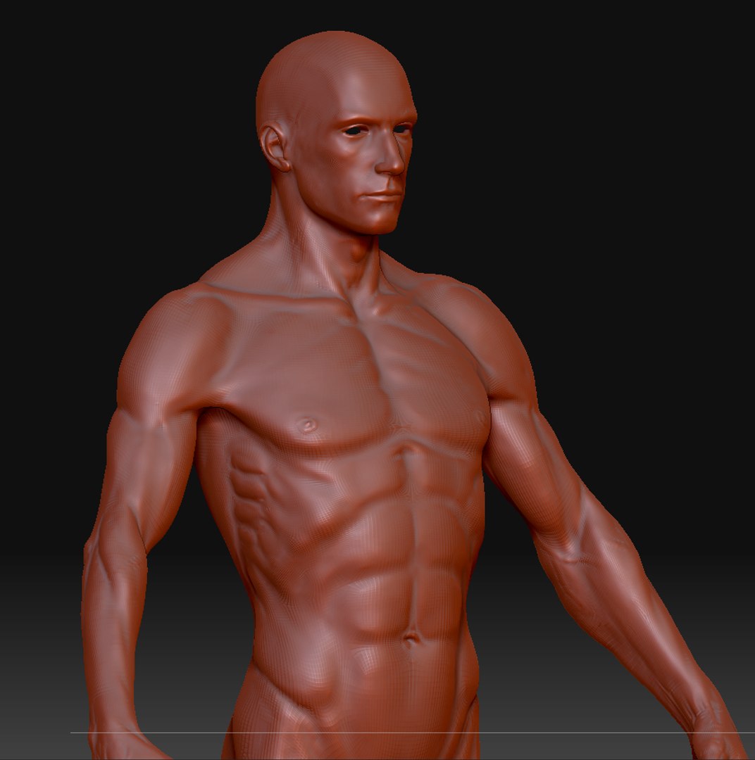 3ds human ztl https://p.turbosquid.com/ts-thumb/YX/QAksxT/4HS8kv6R/1/png/1263255790/1920x1080/fit_q87/f97aa2c29bcef5925b466db21ffdd4ee1f4d992a/1.jpg