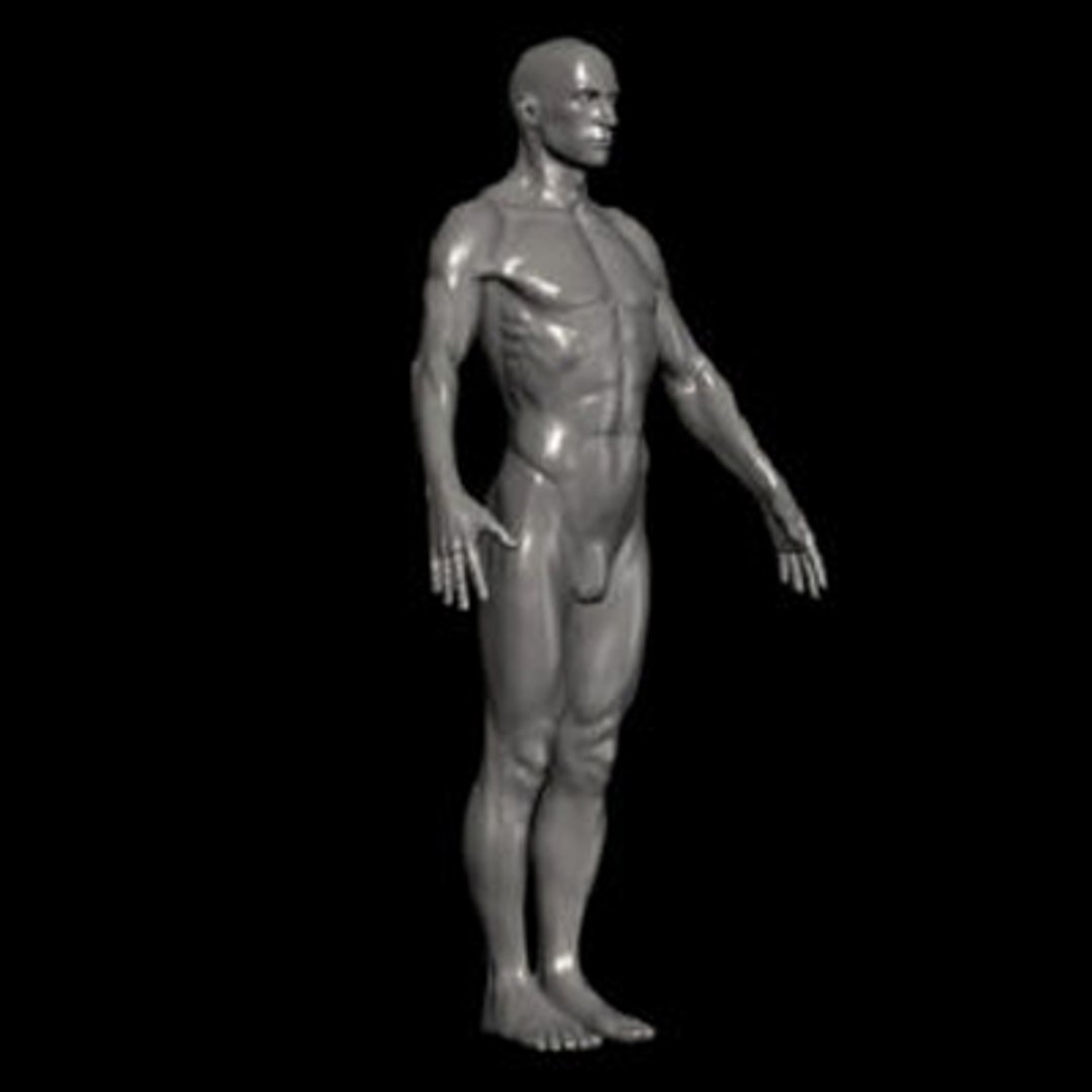 3ds human ztl https://p.turbosquid.com/ts-thumb/YX/QAksxT/9EwXJZC3/3/jpg/1263255257/1920x1080/fit_q87/3e3cbd9a1fb16838882ebb5d09d742f2e7adbf50/3.jpg