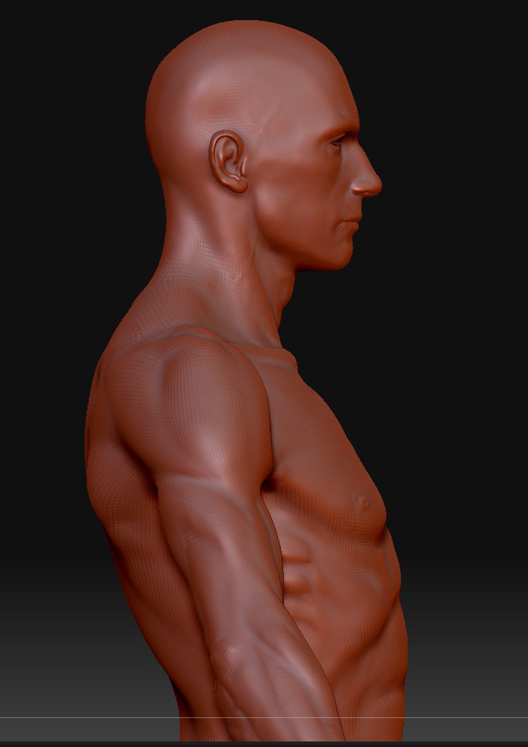3ds human ztl https://p.turbosquid.com/ts-thumb/YX/QAksxT/DLZQ8N9u/8/png/1263256039/1920x1080/fit_q87/669a4a8eb7817d331eafb5200c6cec921be71f62/8.jpg