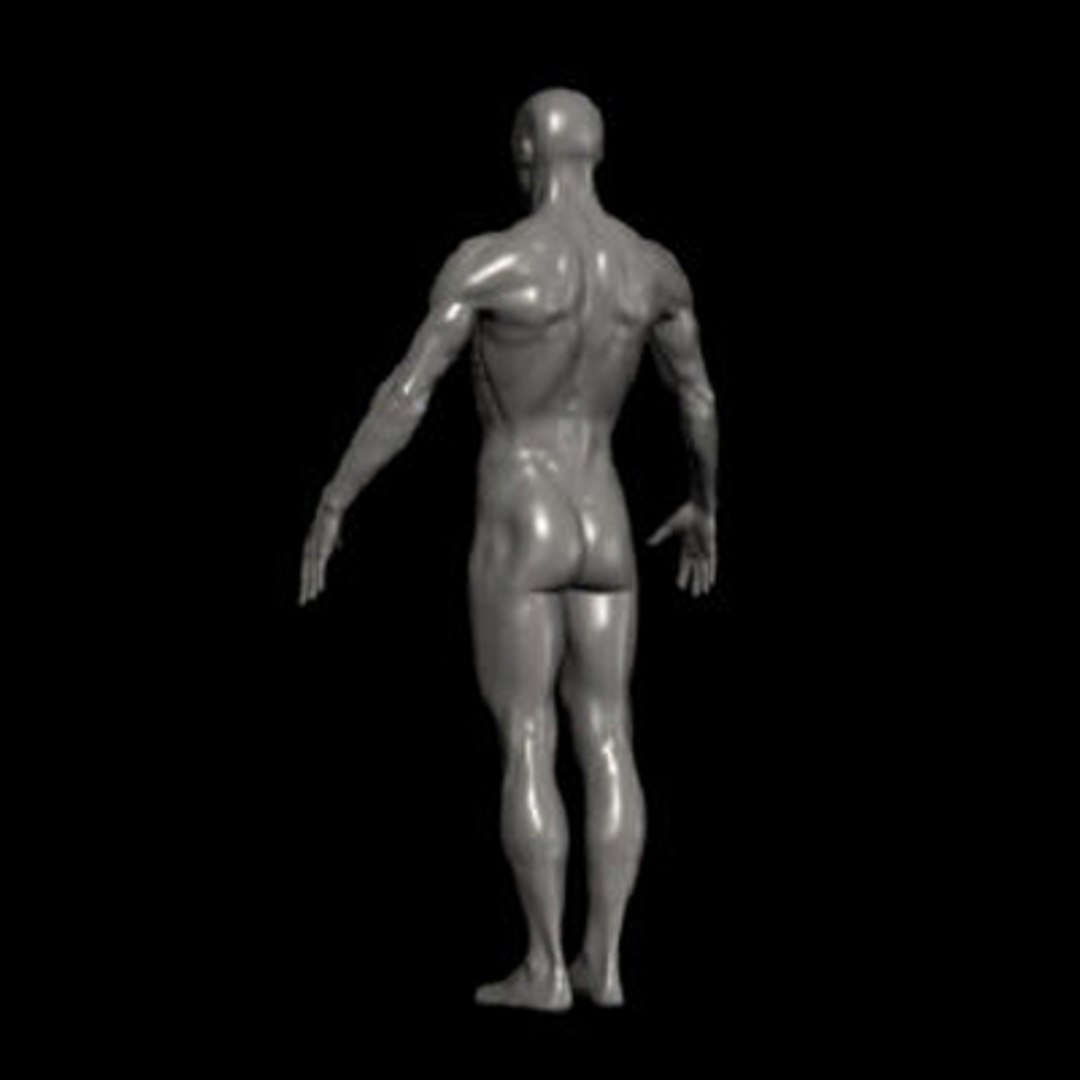3ds human ztl https://p.turbosquid.com/ts-thumb/YX/QAksxT/IJsXp00o/6/jpg/1263255257/1920x1080/fit_q87/523735167473cd846af2d3b5c0f616db36db93fc/6.jpg