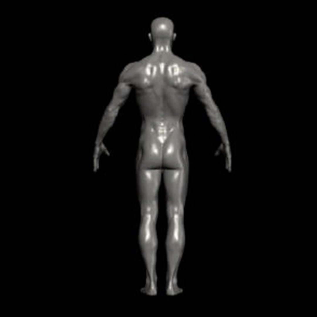 3ds human ztl https://p.turbosquid.com/ts-thumb/YX/QAksxT/oSwTFx6t/7/jpg/1263255257/1920x1080/fit_q87/d6c223b8275fbdd83d87240bdb7f6db96be043ec/7.jpg