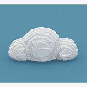 Voxel Cloud