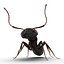 Black Ant Pose 2