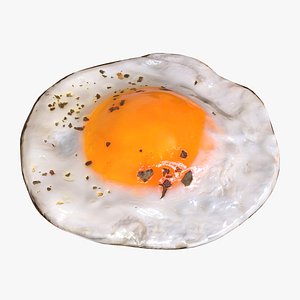 3D Fried chicken egg 02 model