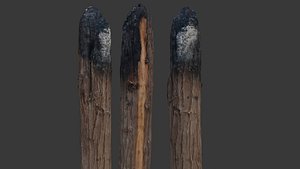 Realistic Burnt Wooden Poles 3D 3D