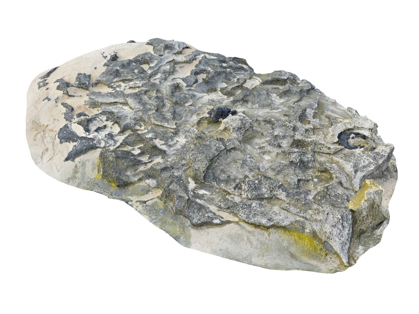 Dark Dunes  Rocky Beach  Ultimate Nature Terrain Pack model https://p.turbosquid.com/ts-thumb/YX/pG8yUL/5G/7786788/jpg/1767367701/1920x1080/fit_q87/8fb6a7a61150c8134d9a624ae6f91d4a72d0caf1/7786788.jpg