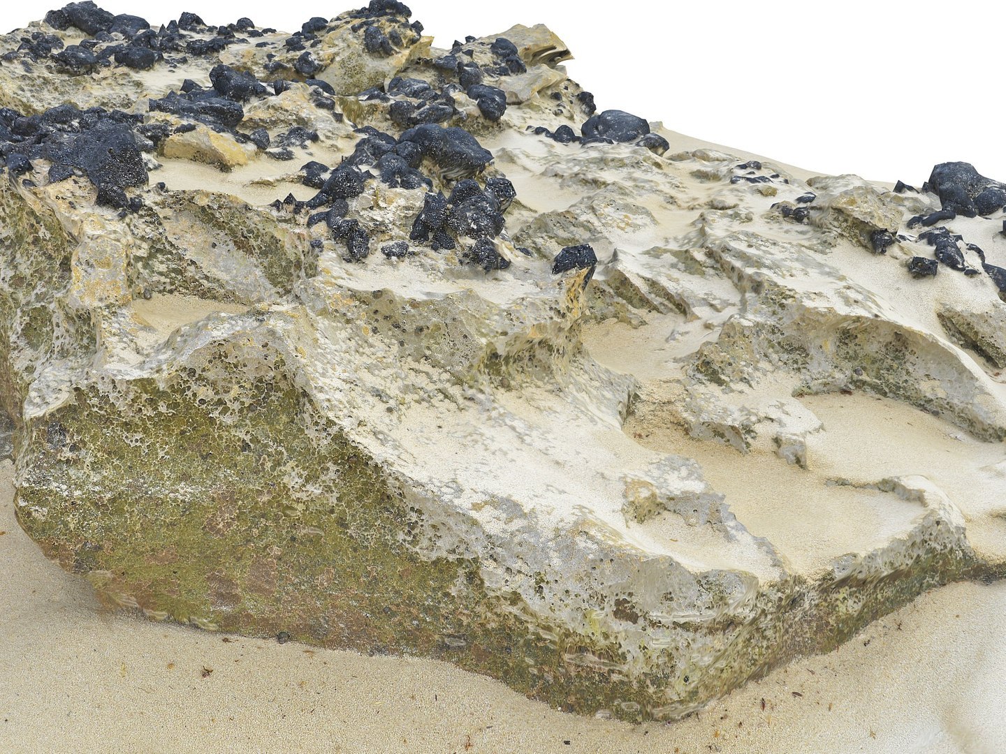Dark Dunes  Rocky Beach  Ultimate Nature Terrain Pack model https://p.turbosquid.com/ts-thumb/YX/pG8yUL/9a/000903/jpg/1767367696/1920x1080/fit_q87/0822d135980800ff96dc66ceb05edb6169646d1d/000903.jpg