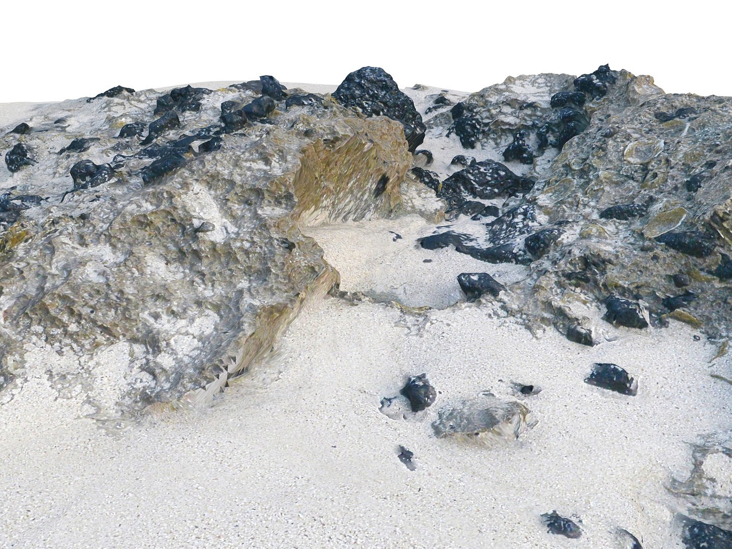 Dark Dunes  Rocky Beach  Ultimate Nature Terrain Pack model https://p.turbosquid.com/ts-thumb/YX/pG8yUL/Ci/9898989/jpg/1767367673/1920x1080/fit_q87/6ca80565dbdb08b4ca0754840499a4300838f0d8/9898989.jpg