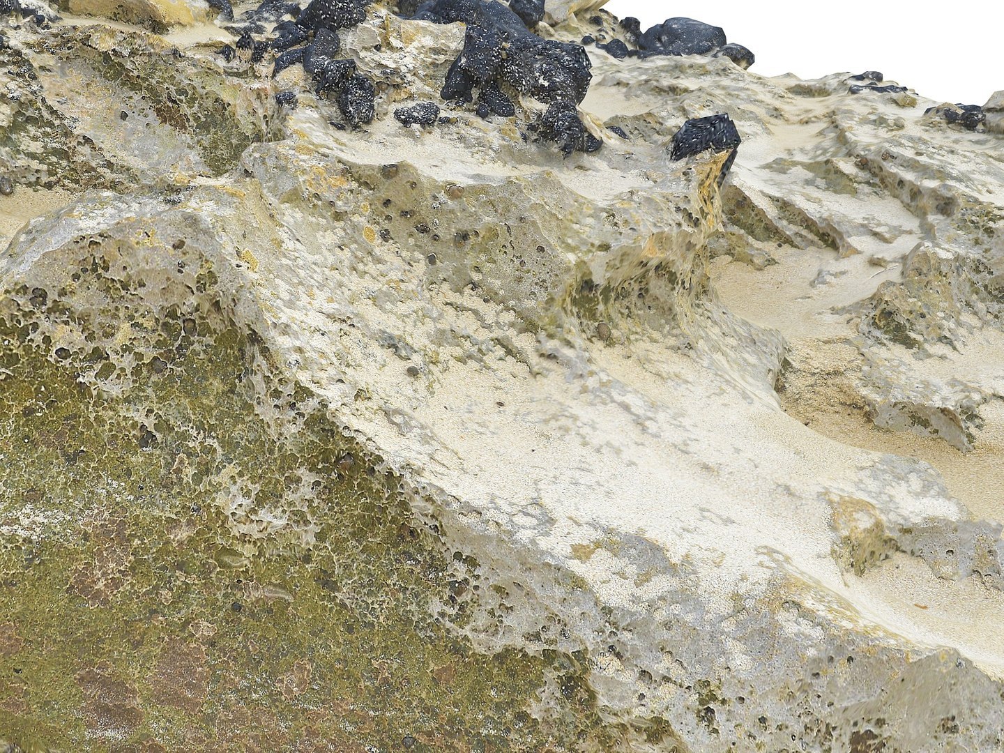Dark Dunes  Rocky Beach  Ultimate Nature Terrain Pack model https://p.turbosquid.com/ts-thumb/YX/pG8yUL/Hg/009002/jpg/1767367697/1920x1080/fit_q87/31bd6e206d53c2a7efc445f155b56e797360ceb2/009002.jpg
