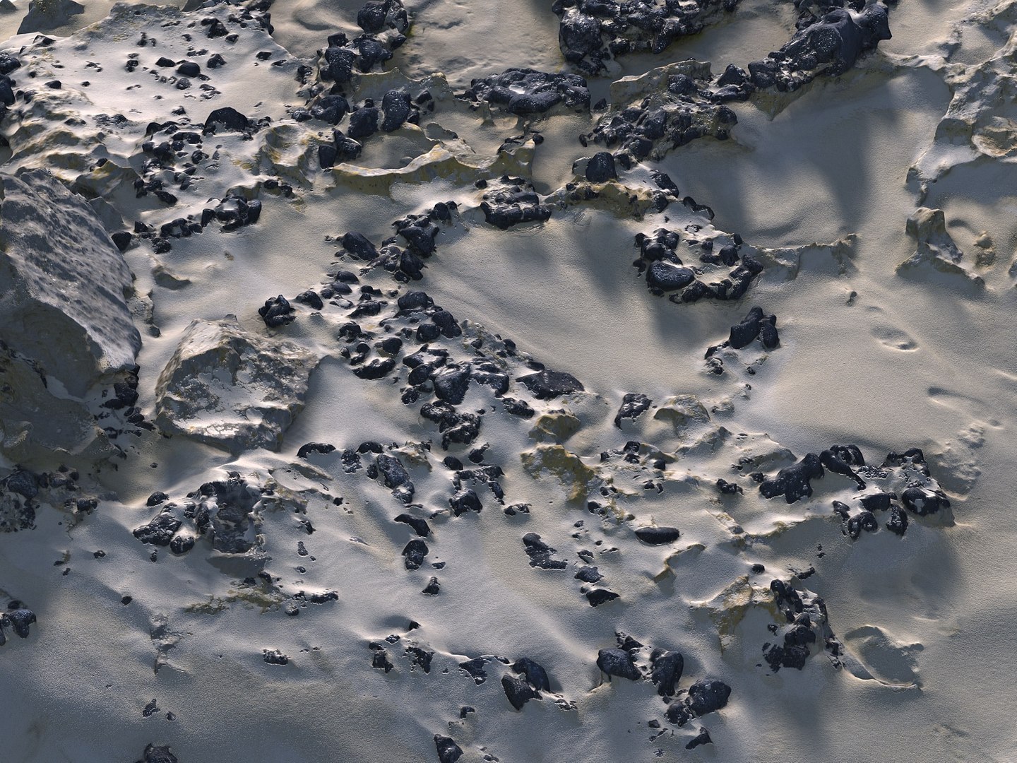 Dark Dunes  Rocky Beach  Ultimate Nature Terrain Pack model https://p.turbosquid.com/ts-thumb/YX/pG8yUL/Kc/9909090/jpg/1767367692/1920x1080/fit_q87/02002e4307d17f7aed4aa2ce6139bbcf783e18bf/9909090.jpg