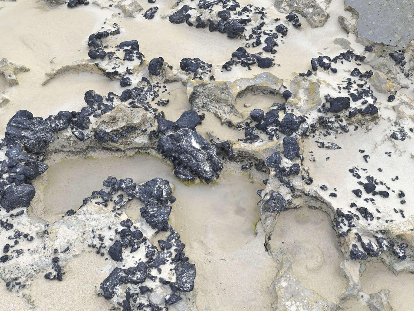 Dark Dunes  Rocky Beach  Ultimate Nature Terrain Pack model https://p.turbosquid.com/ts-thumb/YX/pG8yUL/Lr/909090/jpg/1767367693/1920x1080/fit_q87/e98ea596e8eea6d9552b3ea113f6e55478aaa65a/909090.jpg