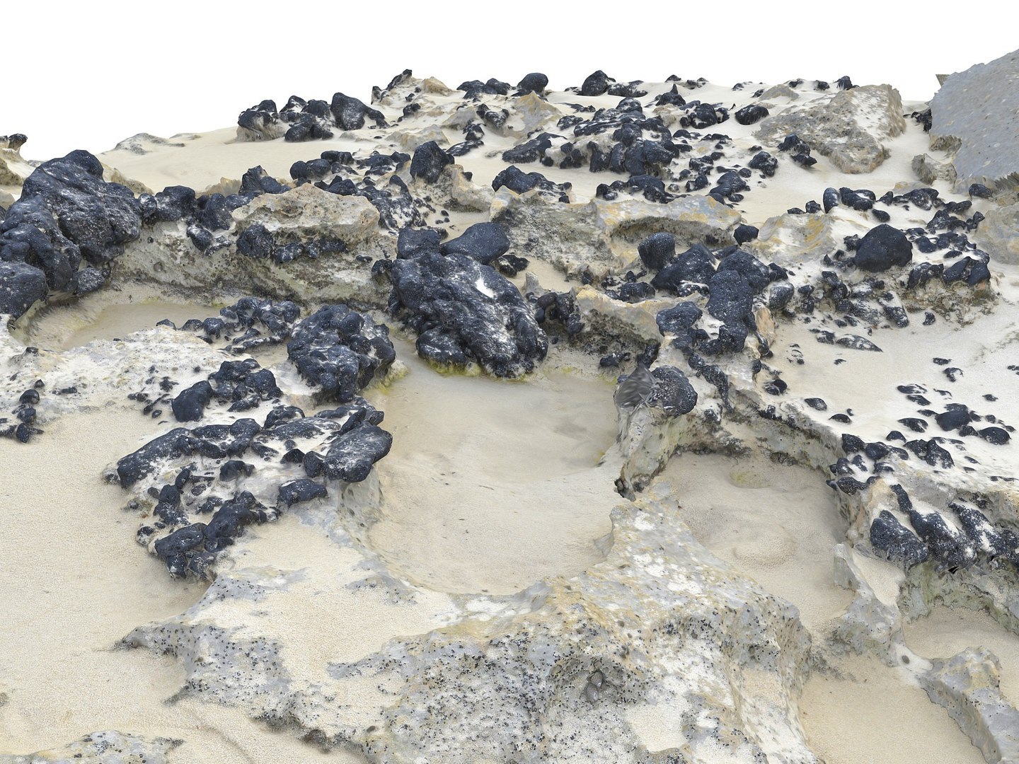 Dark Dunes  Rocky Beach  Ultimate Nature Terrain Pack model https://p.turbosquid.com/ts-thumb/YX/pG8yUL/P2/0909009/jpg/1767367693/1920x1080/fit_q87/3ea3fd3aae7dcdbe94758cec84728b9f7de05d4e/0909009.jpg