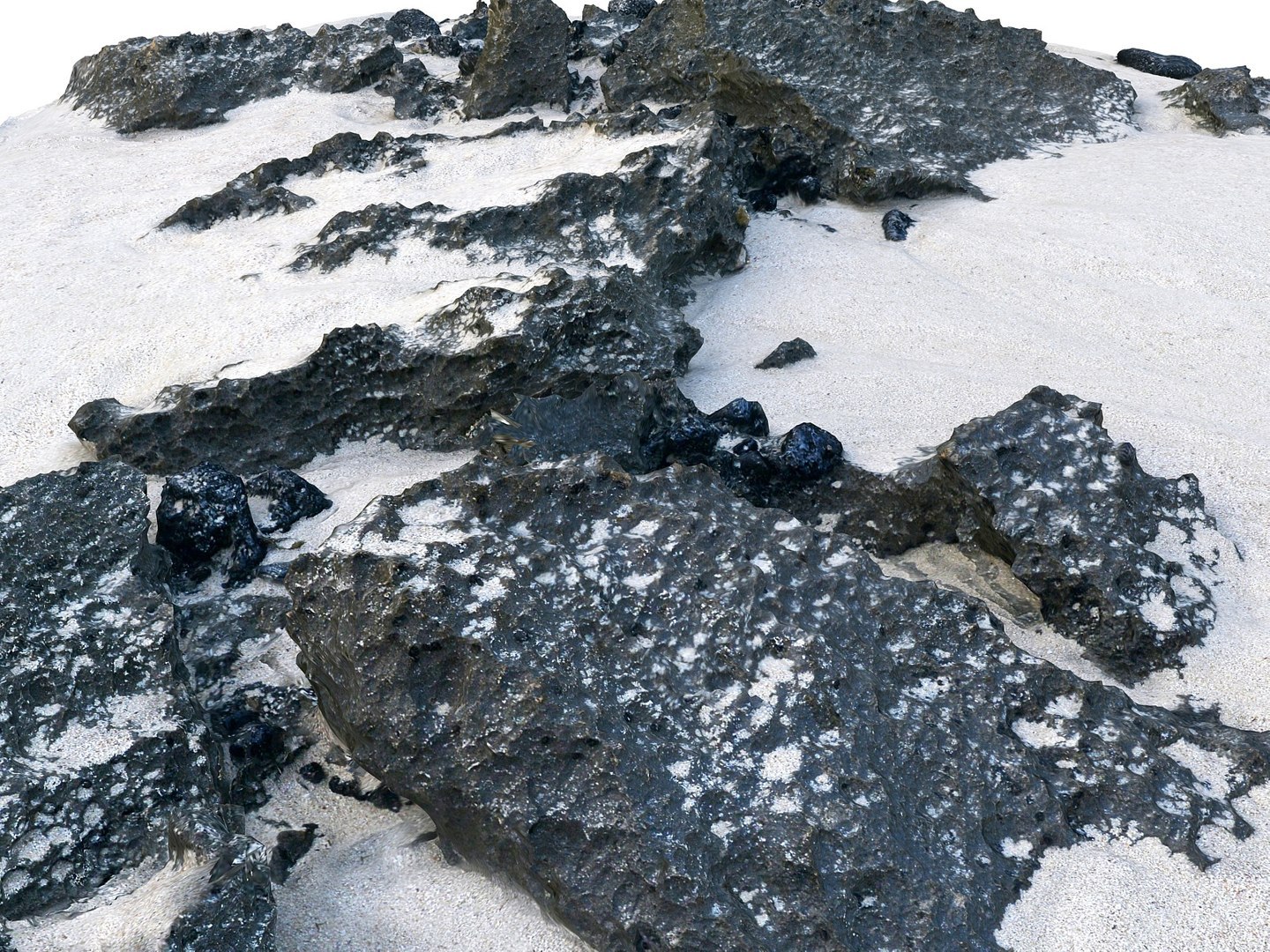 Dark Dunes  Rocky Beach  Ultimate Nature Terrain Pack model https://p.turbosquid.com/ts-thumb/YX/pG8yUL/Sv/09004/jpg/1767367678/1920x1080/fit_q87/b4220eba663c0125b388400476058dd852edb687/09004.jpg