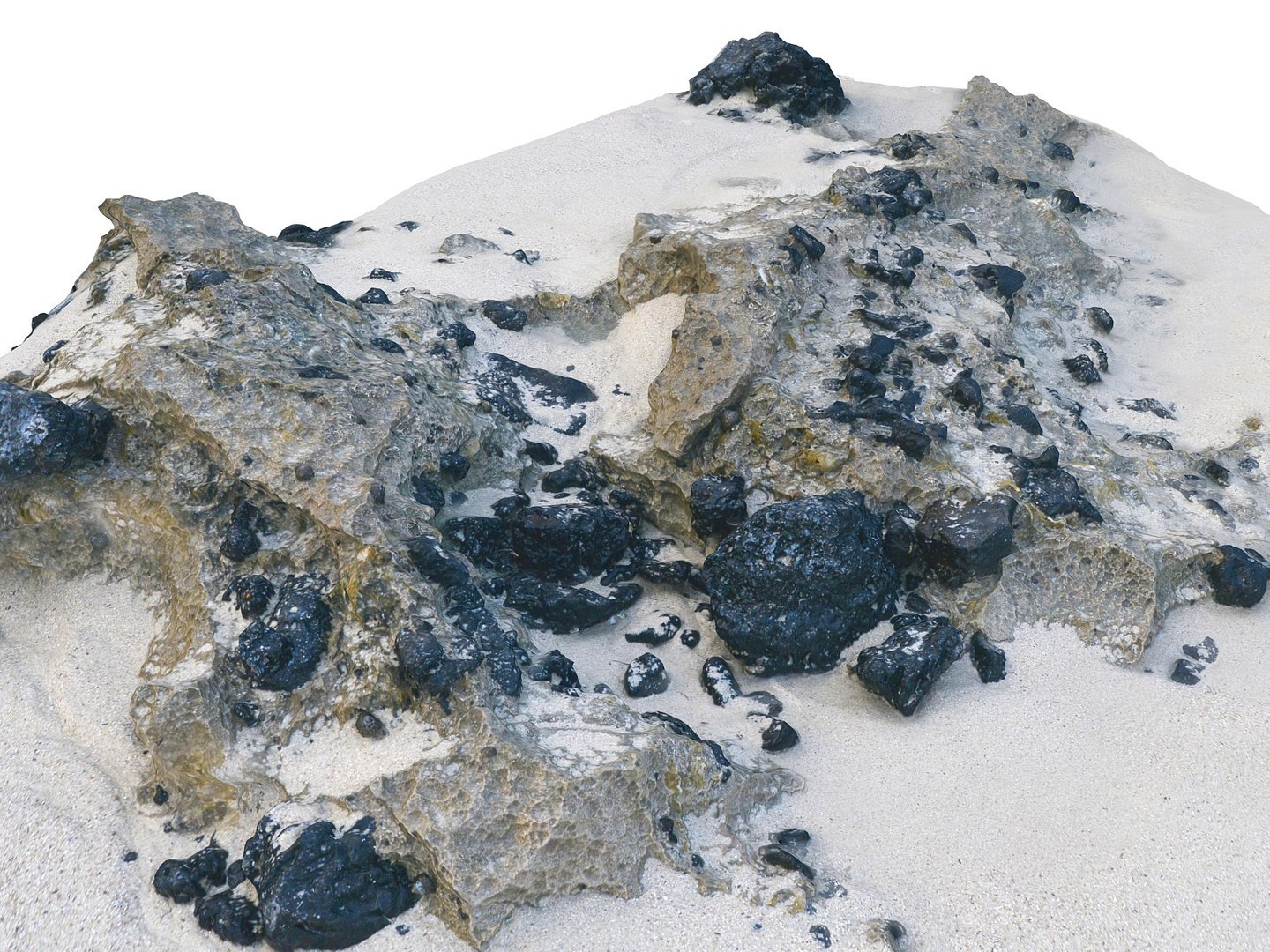 Dark Dunes  Rocky Beach  Ultimate Nature Terrain Pack model https://p.turbosquid.com/ts-thumb/YX/pG8yUL/U9/7778778/jpg/1767367675/1920x1080/fit_q87/3ac1a9113b362e0530c348de322baa85fe0fe2e8/7778778.jpg