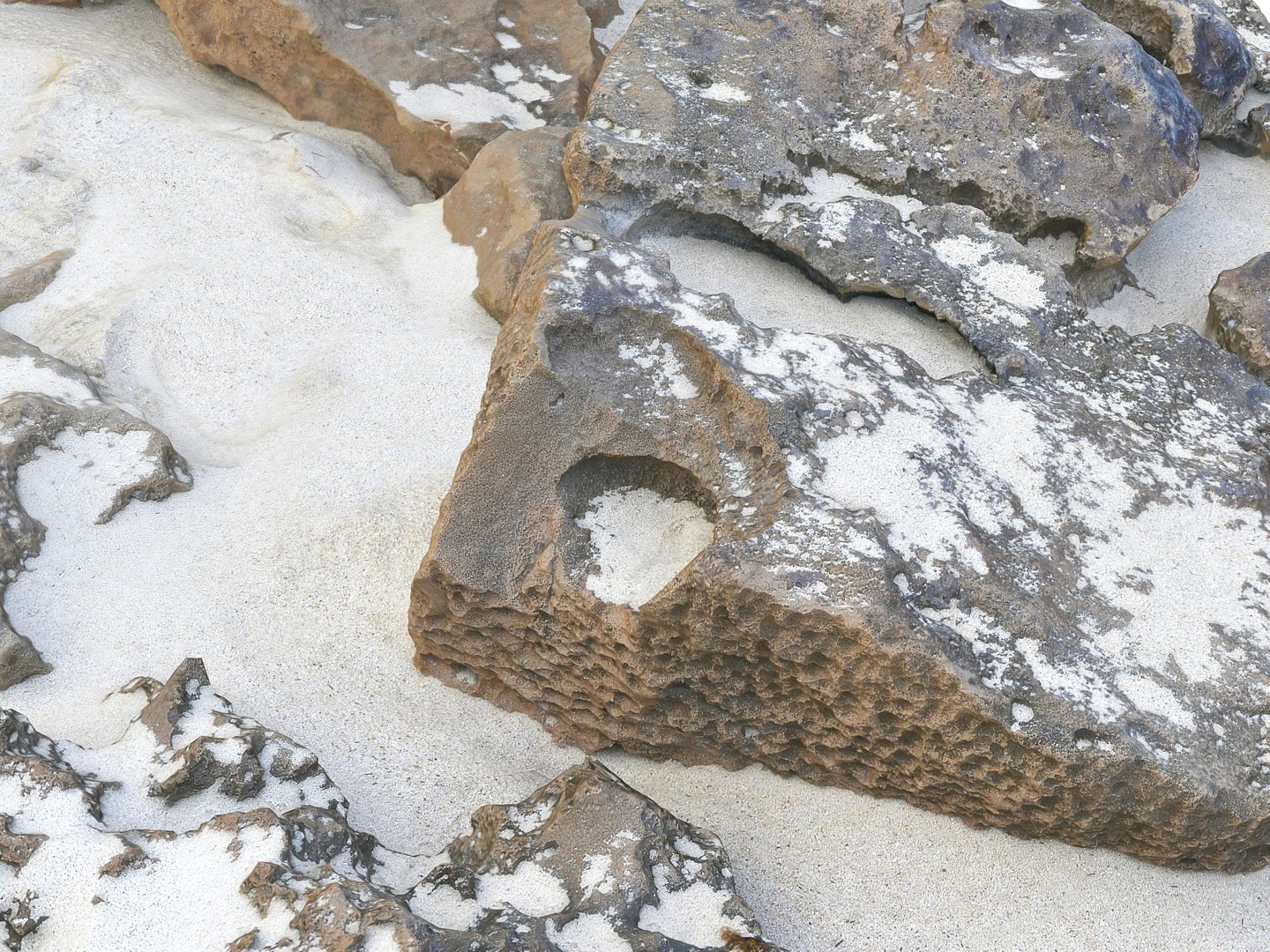 Dark Dunes  Rocky Beach  Ultimate Nature Terrain Pack model https://p.turbosquid.com/ts-thumb/YX/pG8yUL/Z1/000902/jpg/1767367706/1920x1080/fit_q87/26a8223d6b120d3867482376987c89cc9056cb70/000902.jpg
