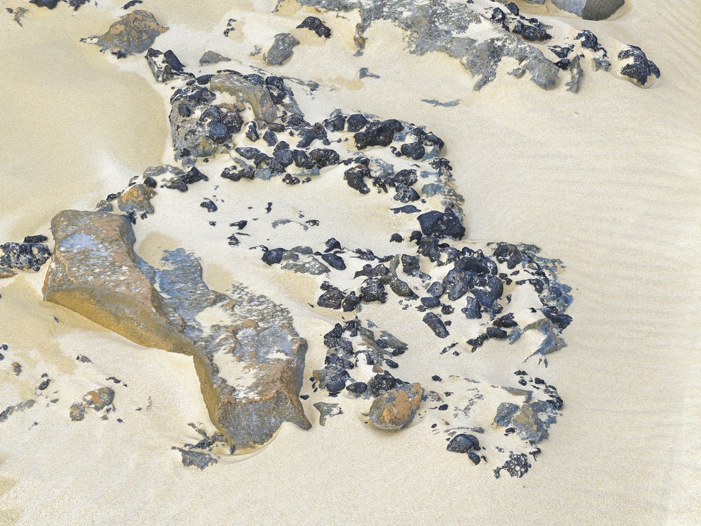 Dark Dunes  Rocky Beach  Ultimate Nature Terrain Pack model https://p.turbosquid.com/ts-thumb/YX/pG8yUL/iN/0904/jpg/1767367689/1920x1080/fit_q87/4d06ed913ebc386bfd6ff644f555f8e2922b9b0c/0904.jpg
