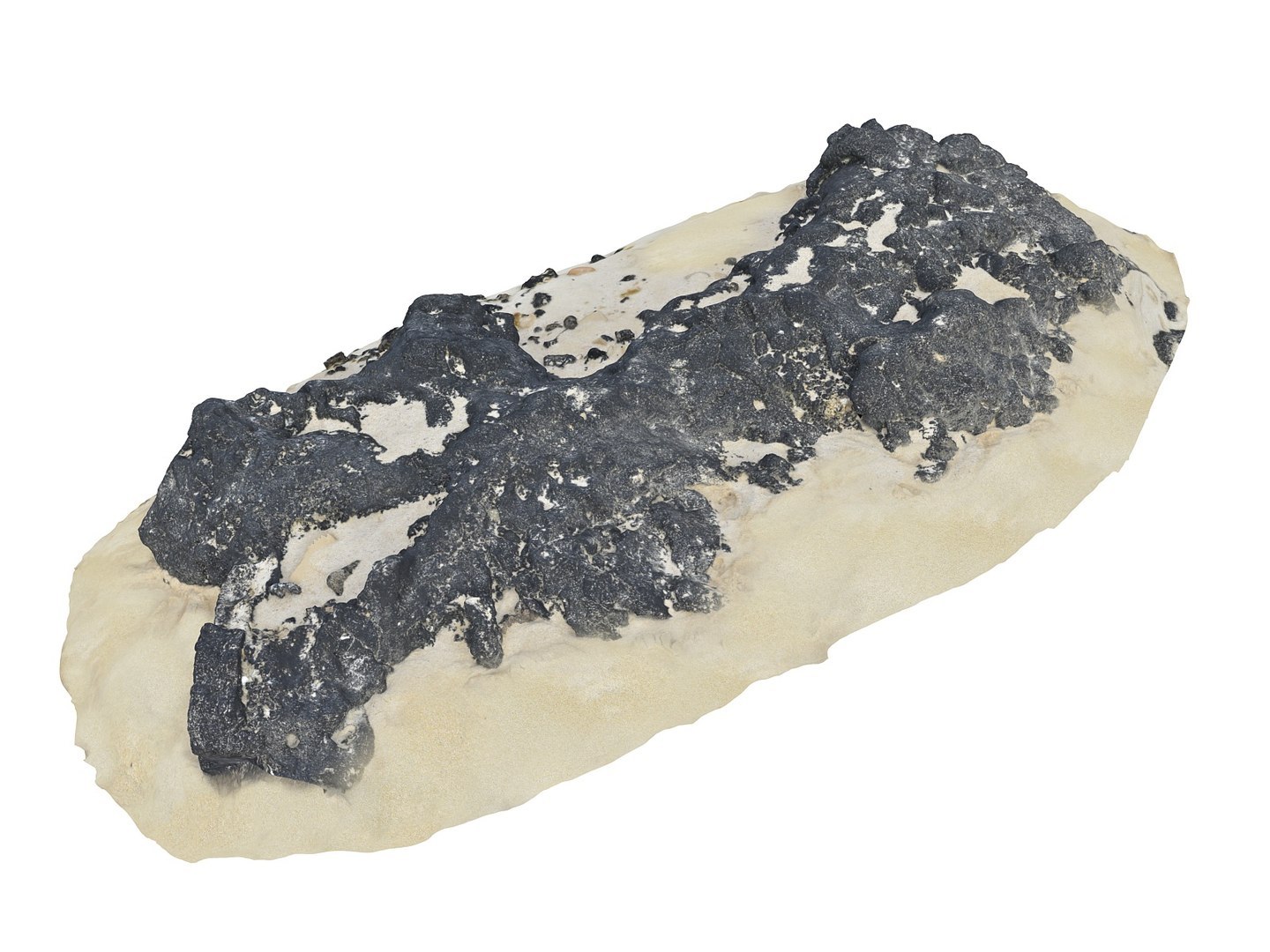 Dark Dunes  Rocky Beach  Ultimate Nature Terrain Pack model https://p.turbosquid.com/ts-thumb/YX/pG8yUL/sM/77888/jpg/1767367686/1920x1080/fit_q87/556bab22f03185c137dc7cdcb1750ef32728c3e7/77888.jpg