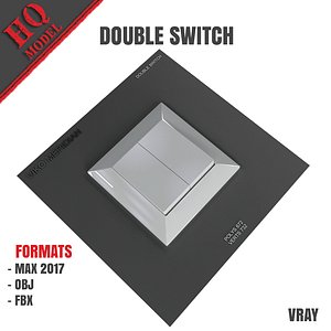 3D double switch model