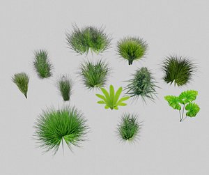 3D 12 different small plant model