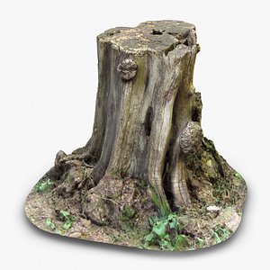 Tree Stump 1