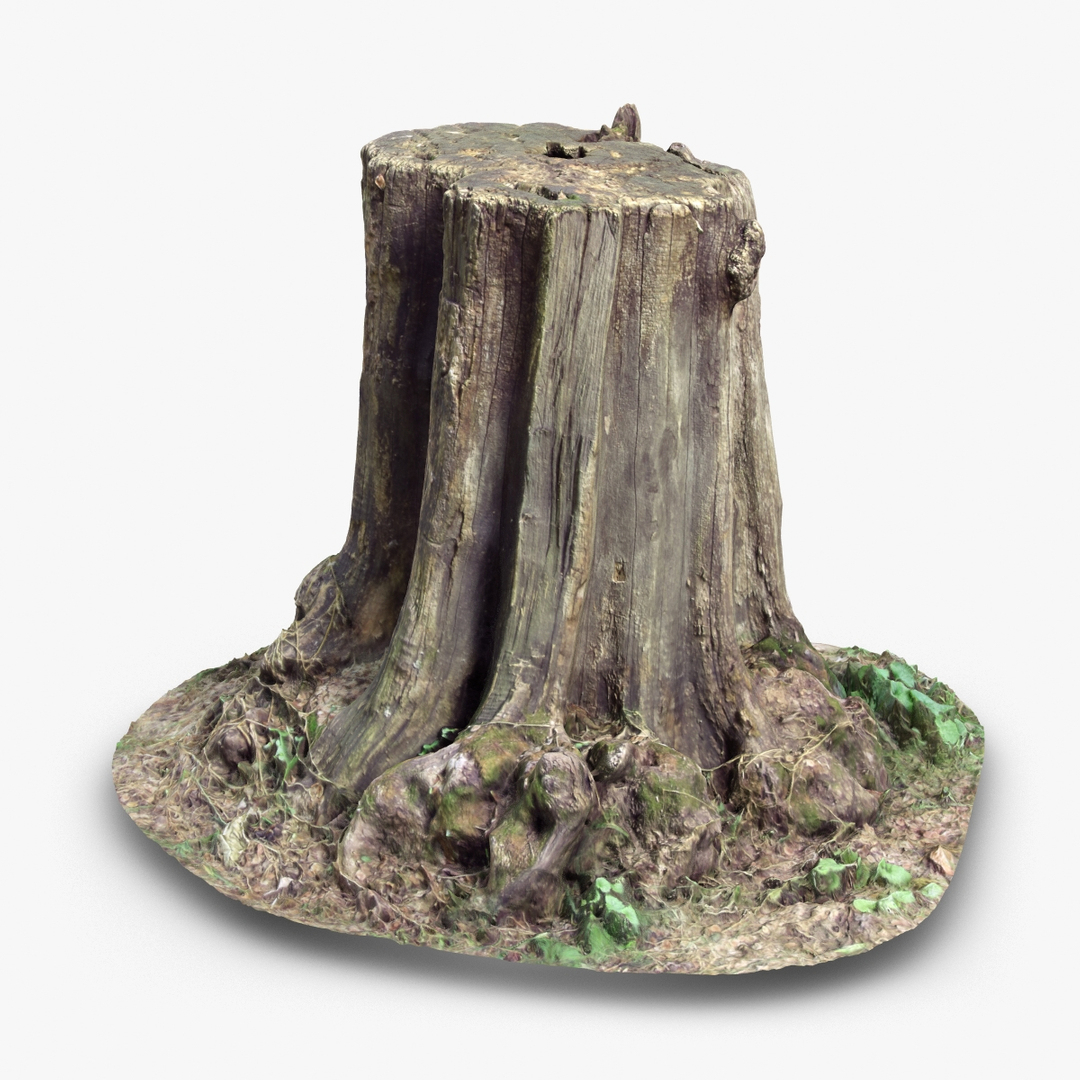 tree stump 1 3d model