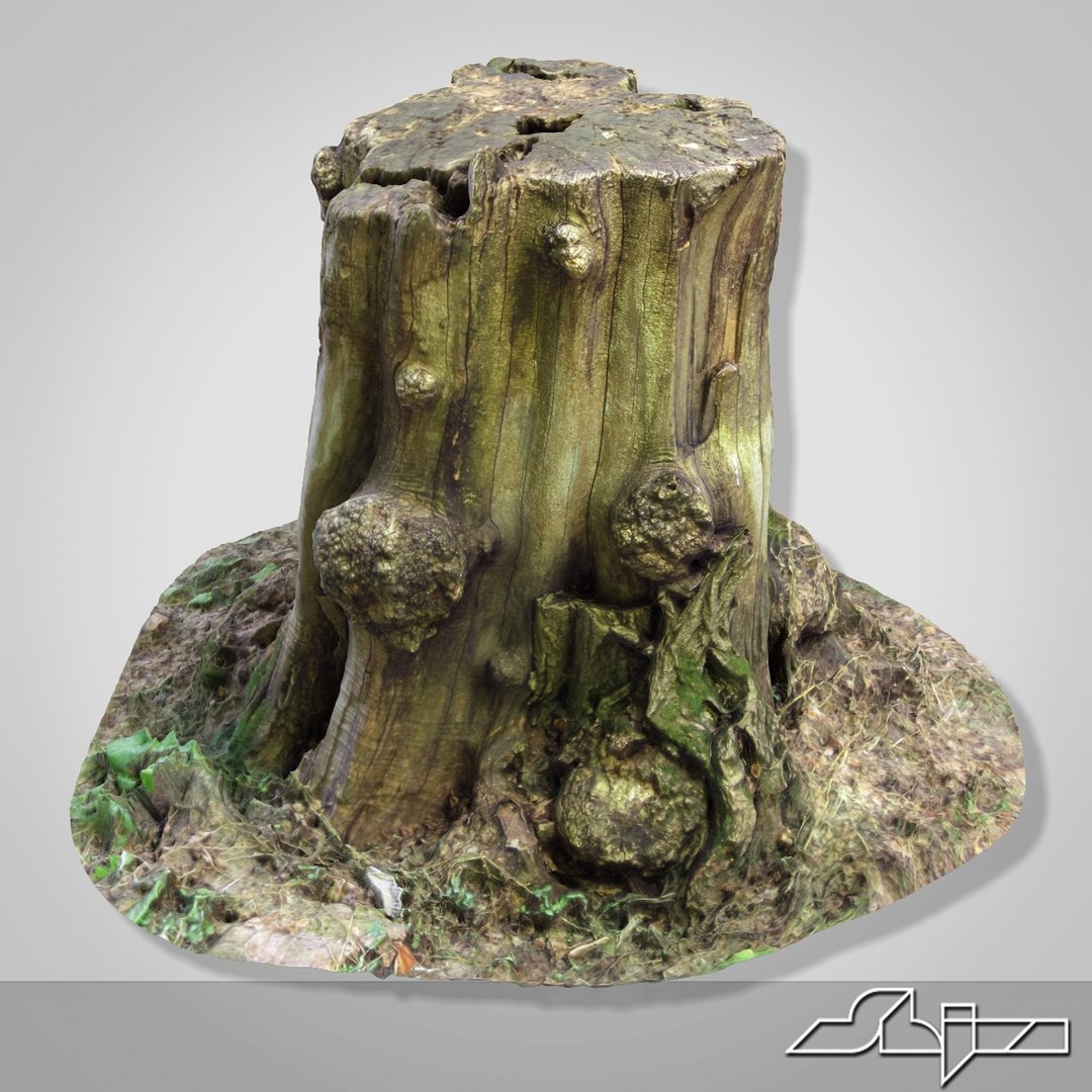 tree stump 1 3d model