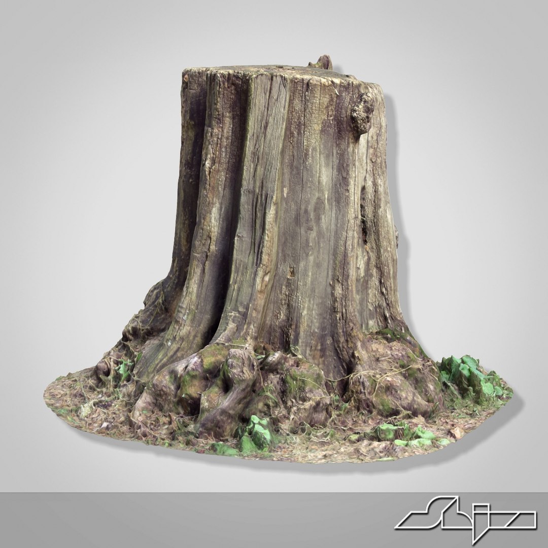 Tree Stump 1 3d Model