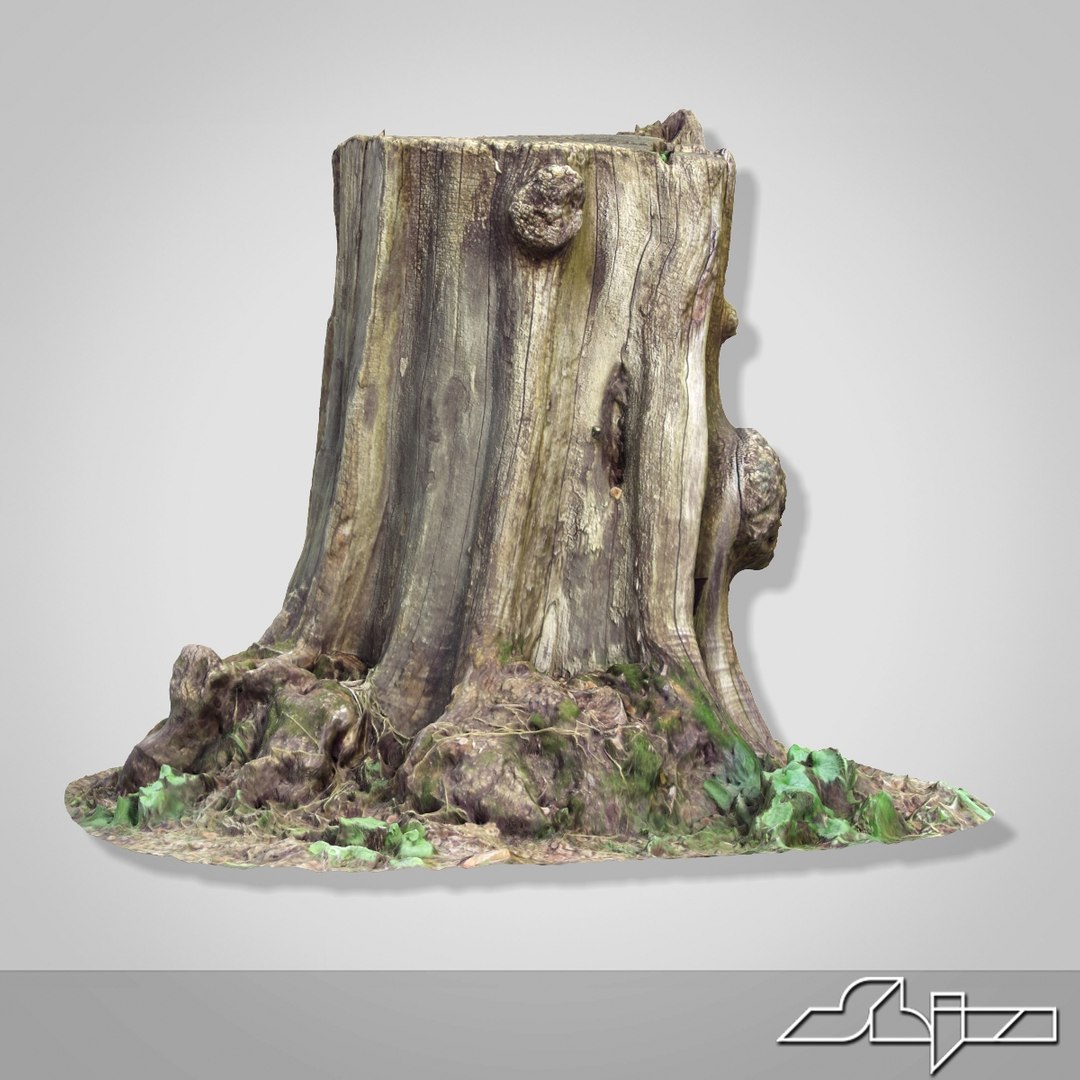 tree stump 1 3d model