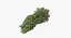 Brote De Marihuana 01 02