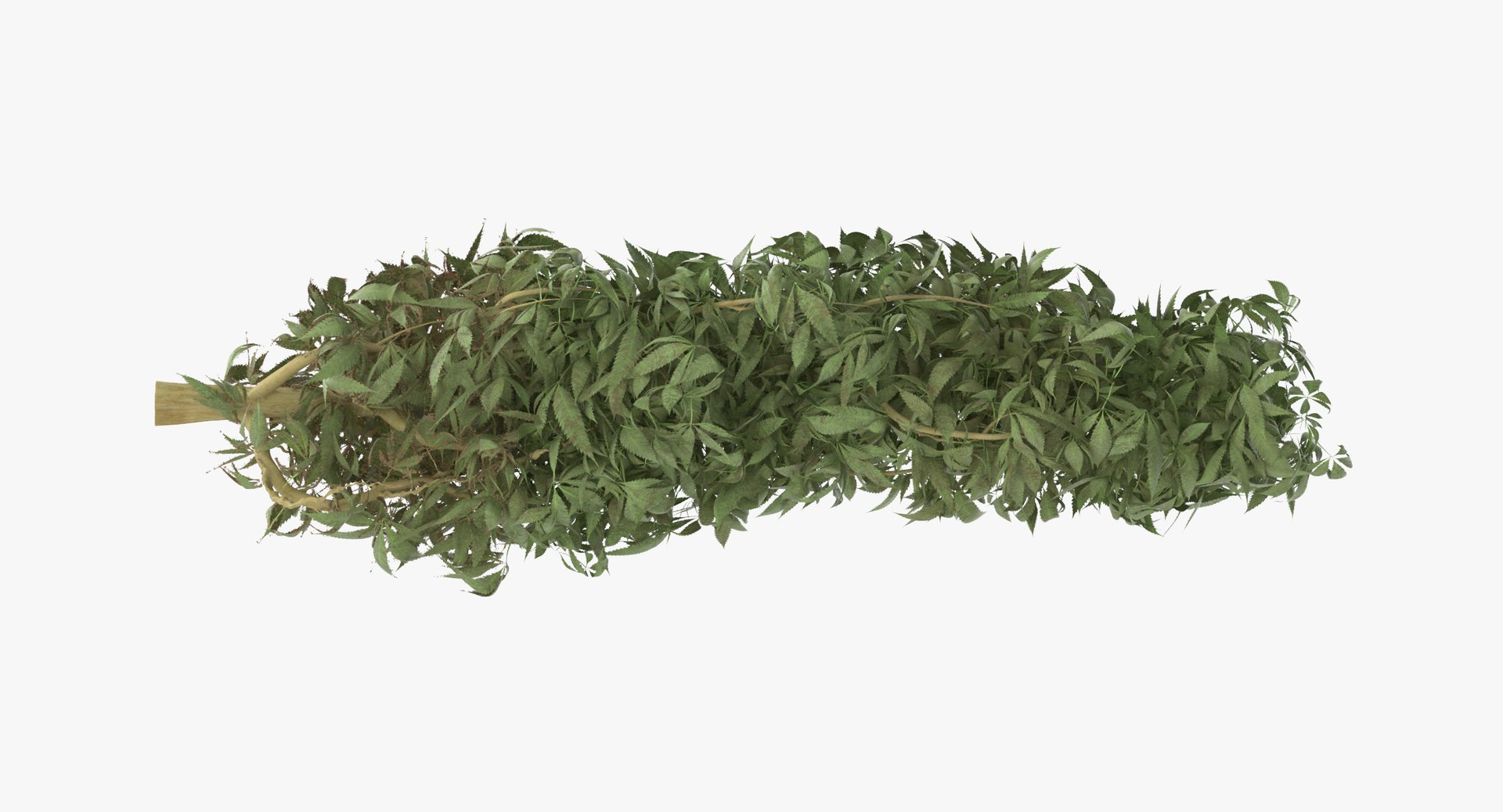 3d marijuana bud 01 02 https://p.turbosquid.com/ts-thumb/YY/cxp7qC/uiqJVPkt/marijuana_bud_01_02_001_thumbnail_0006/jpg/1466789832/1920x1080/fit_q87/84bcc238221ac155fd5ae60acbeaf36aa15646c8/marijuana_bud_01_02_001_thumbnail_0006.jpg