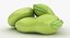 Broad Bean