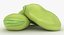 Broad Bean