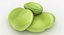 Broad Bean