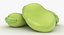 Broad Bean