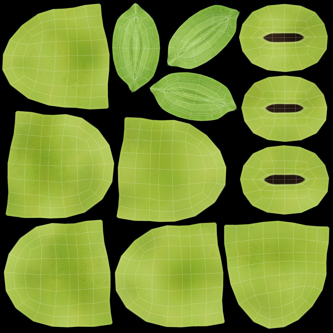 realistic broad bean 3D model https://p.turbosquid.com/ts-thumb/YY/fXfDpo/fg9smiP8/lemon_rr_33/jpg/1536508871/1920x1080/fit_q87/8d3df3dea8377438331c5c4049f18f1372f1ab9b/lemon_rr_33.jpg