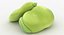 Broad Bean
