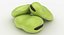 Broad Bean