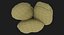 Broad Bean
