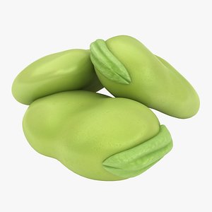 Broad Bean