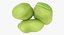 Broad Bean
