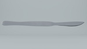 abdominal large scalpel(1)