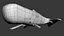 rig sperm whale max free