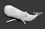 rig sperm whale max free