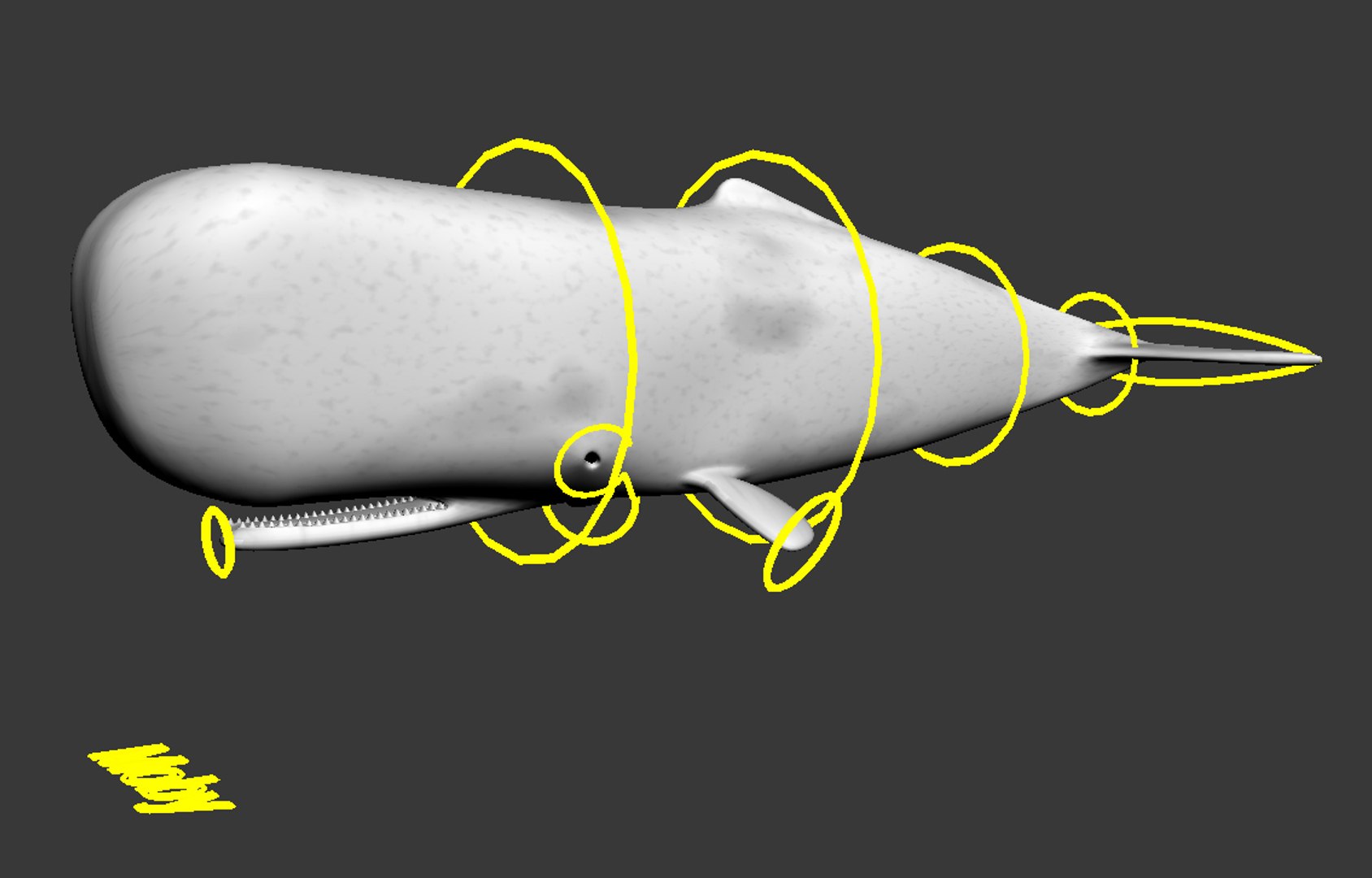 rig sperm whale max free https://p.turbosquid.com/ts-thumb/YZ/1bxy2r/jXLaTmJP/mobyrig_01/jpg/1284304667/1920x1080/fit_q87/935a7c658f4e9f7153107536cc05bcb1e12b21cd/mobyrig_01.jpg