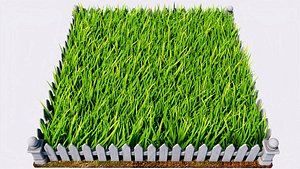 3D model Grass